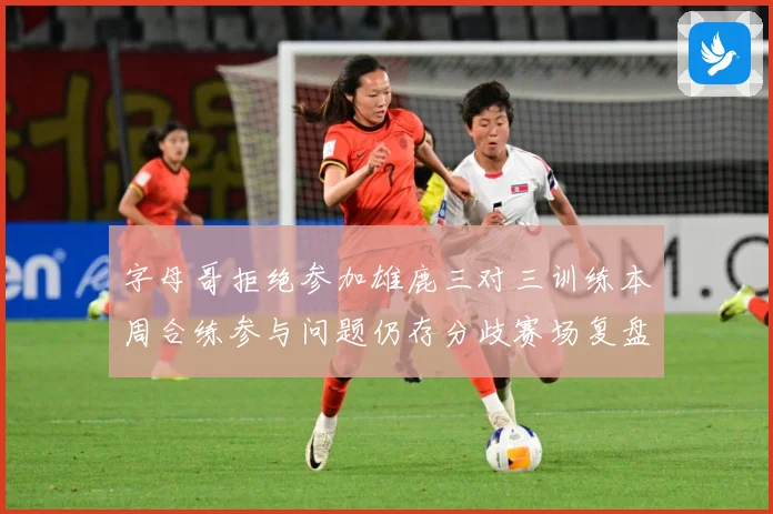 字母哥拒绝参加雄鹿三对三训练本周合练参与问题仍存分歧赛场复盘-深度解析