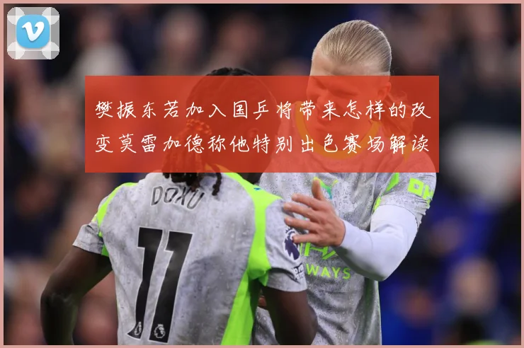 樊振东若加入国乒将带来怎样的改变莫雷加德称他特别出色赛场解读-深度解析