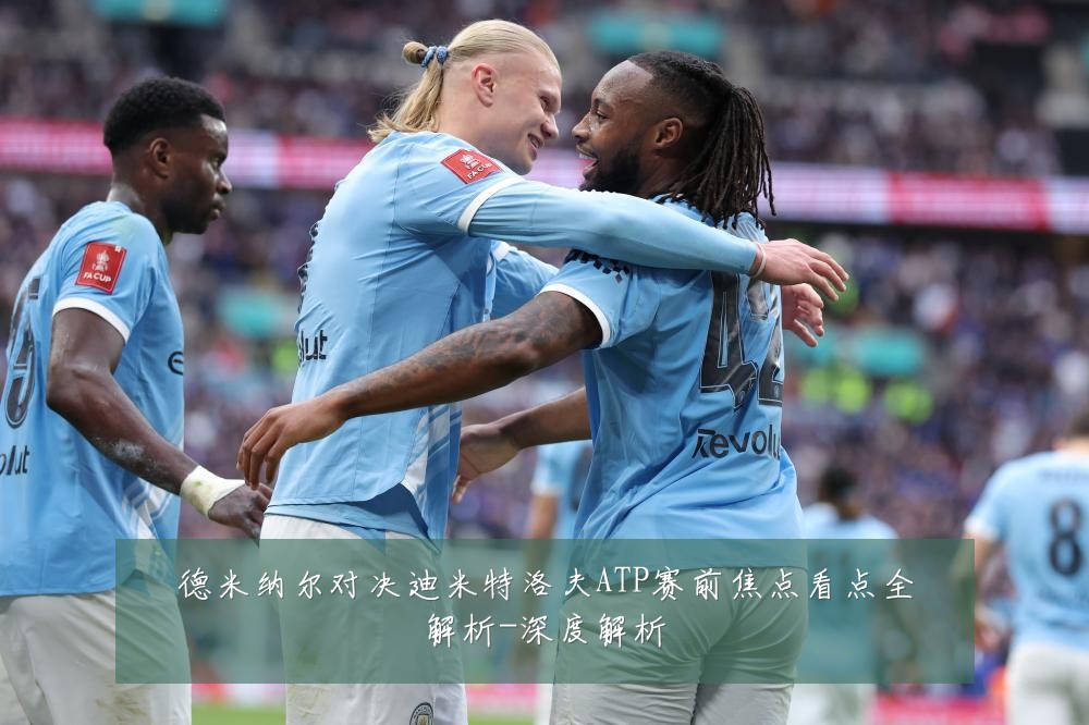 德米纳尔对决迪米特洛夫ATP赛前焦点看点全解析-深度解析